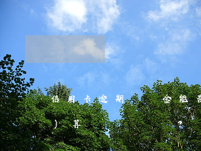 信用卡逾期違約金：能否減免？如何計(jì)算？
